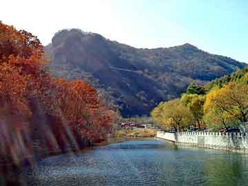 新澳天天开好彩大全，塑胶市场